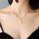 Dây Chuyền Ngôi Sao Đá Titan Ko Đen TT 4201